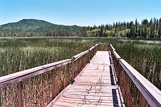 Boggs Lake boardwalk BoggsPier.jpg