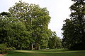 Bois de Vincennes 20060816 44.jpg