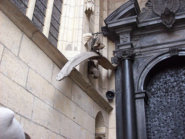 Several bones purported to belong to the Wawel Dragon hang outside Wawel Cathedral, but actually belong to a Pleistocene mammal.