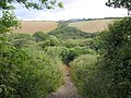 Bridleway into the Porth valley - geograph.org.uk - 1963036.jpg