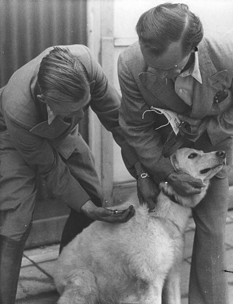 File:Bundesarchiv Bild 183-2005-0624-513, Berlin, Staupeimpfung für Hunde.jpg