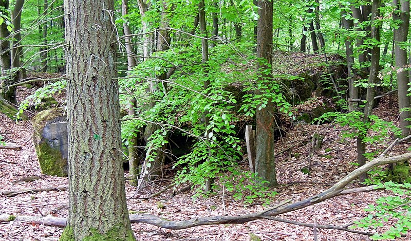 File:Bunker3 BeckingerWald (2).jpg