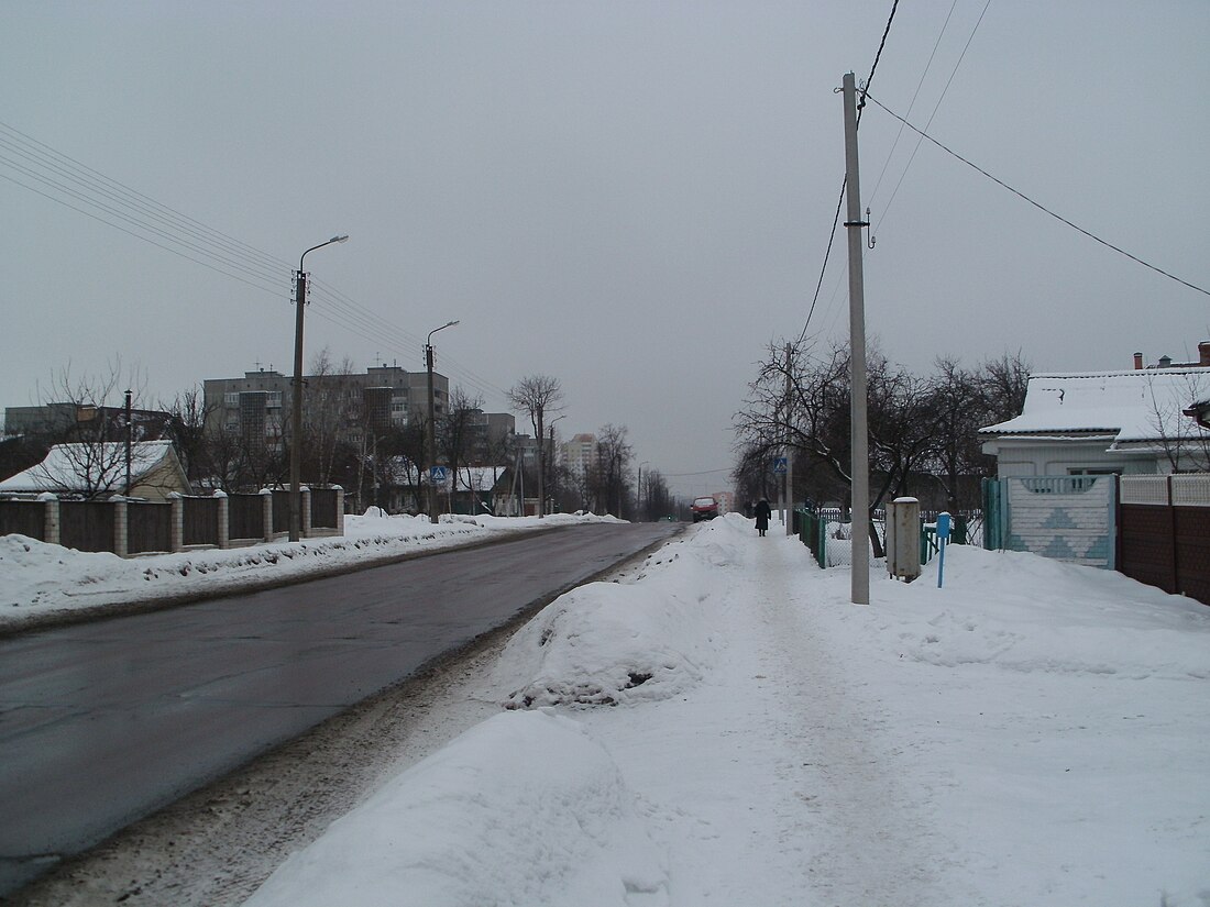 Вуліца Быхаўская (Гомель)