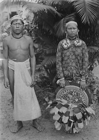 <span class="mw-page-title-main">Apo Kayan people</span> Ethnic group of Borneo