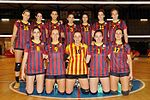 Miniatura para Club Voleibol Barcelona