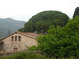 Català: Pi Pinyoner de Can Candeler. Masia Can Candeler (Sant Just Desvern). ca:Pinus pinea. This is a a photo of a protected or outstanding tree in Catalonia, Spain, with id: MA-082212/AIL-01-2013 Object location 41° 23′ 26.08″ N, 2° 04′ 48.09″ E  View all coordinates using: OpenStreetMap Català: Can Candeler, Torre Camosa, Torre de Mossèn Camós (Sant Just Desvern). This is a photo of a building listed in the Catalan heritage register as Bé Cultural d'Interès Local (BCIL) under the reference IPA-19292.