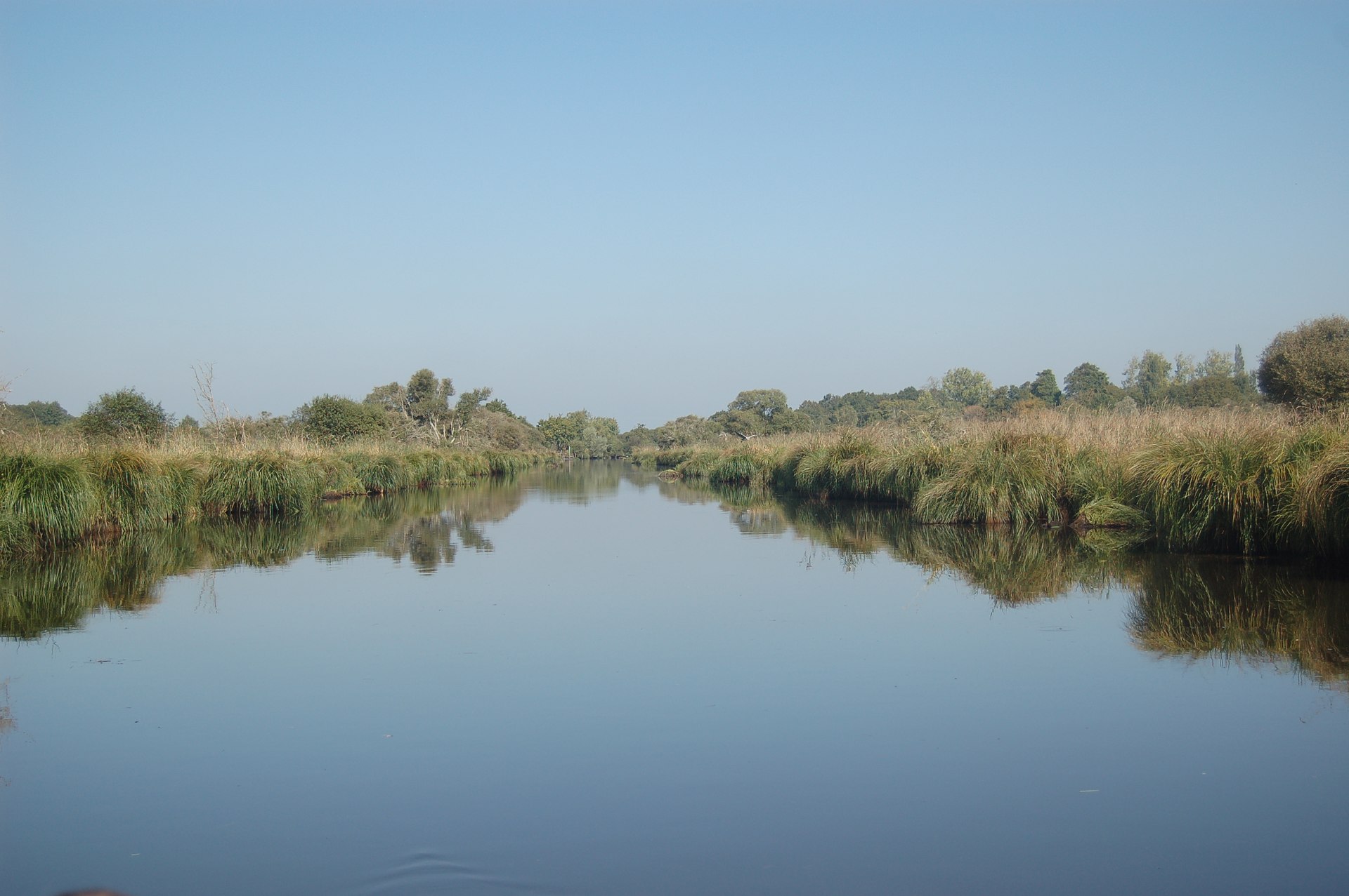 Paysage de Brière, dans l'ouest.