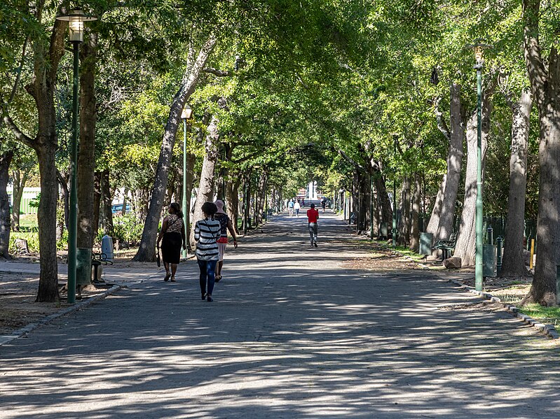 File:Cape Town (ZA), Government Avenue -- 2024 -- 3449.jpg