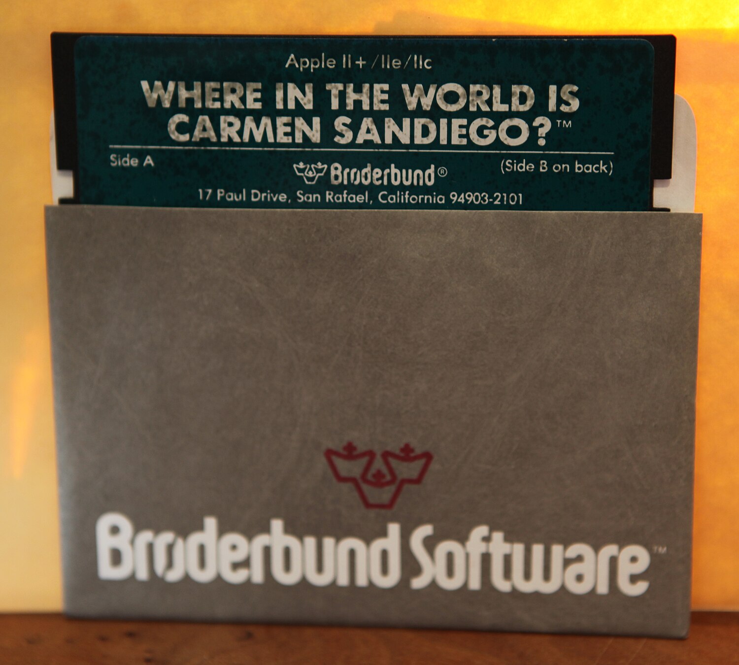 Where in the World Is Carmen Sandiego? (1996 video game) - Wikipedia