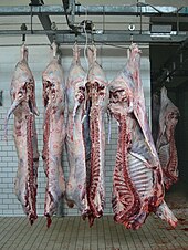 Sides of beef in a slaughterhouse Carni bovine macellate.JPG