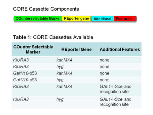 Figure 1. CORE Cassettes for Delitto Perfetto Cassettes.png