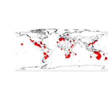 Casuarina cunninghamiana DistMap.png