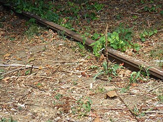 Partially concealed rail of the former Catonsville Short Line Railroad, at the shoulder of Beechfield Avenue in Baltimore Catonsville Short Line track.jpg