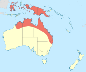 Ceriagrion aeruginosum distribution map.svg