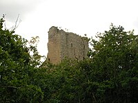 Château de Ramstein (390 m) (Scherwiller) (1) .jpg