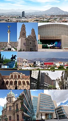 Chihuahua Capital Collage.jpg