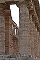 Paestum: Hera-Tempel