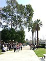 Central Quad at lunch