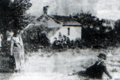 The rear of the cottage, viewed from the elevated field behind it