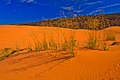 Государственный парк Coral Pink Sand Dunes, штат Юта (6294443084) .jpg