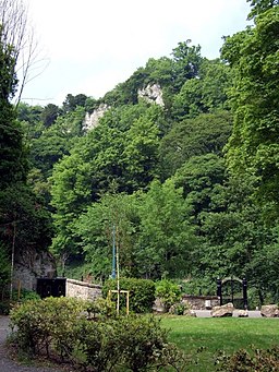 Crags above trees - geograph.org.uk - 462774