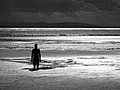 * Nomination Looking from behind one of the iron men of the Antony Gormley sculpture Another Place located on Crosby beach Merseyside UK.--Imcall 20:15, 29 March 2008 (UTC) * Decline Do you have a version of this which is not grayscaled? A little color would make this image very beautiful to me. -- carol 00:20, 31 March 2008 (UTC) -- Sorry, artifacts all over the sky -- Alvesgaspar 08:01, 1 April 2008 (UTC)