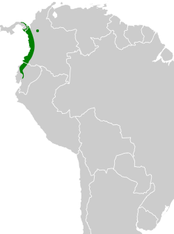 Distribución geográfica del saltarín del Chocó.