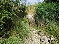 wikimedia_commons:1=File:Culvert, Sluice Lane, Normans Bay (2).jpg