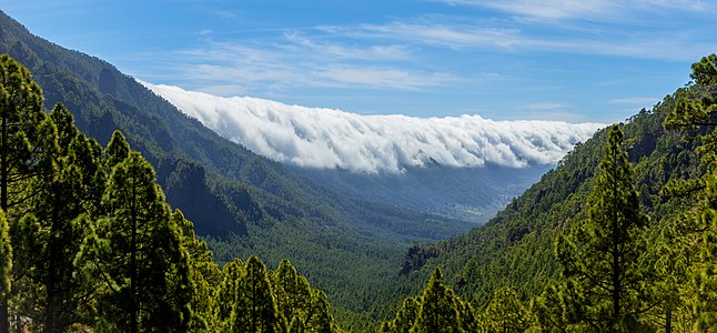 Cloudfall Cumbre Nueva La Palma