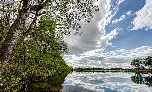 Kettbach pond, hamlet Börnste, Kirchspiel, Dülmen, North Rhine-Westphalia, Germany