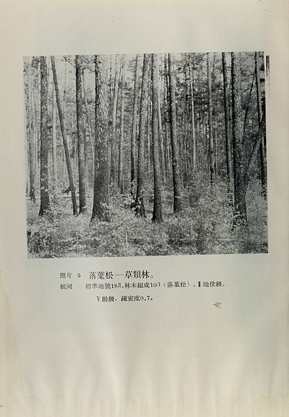 File:Da xing an ling sen lin zi yuan diao cha bao gao (1954-1955) (20848588521).jpg
