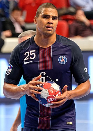 <span class="mw-page-title-main">Daniel Narcisse</span> French handball player