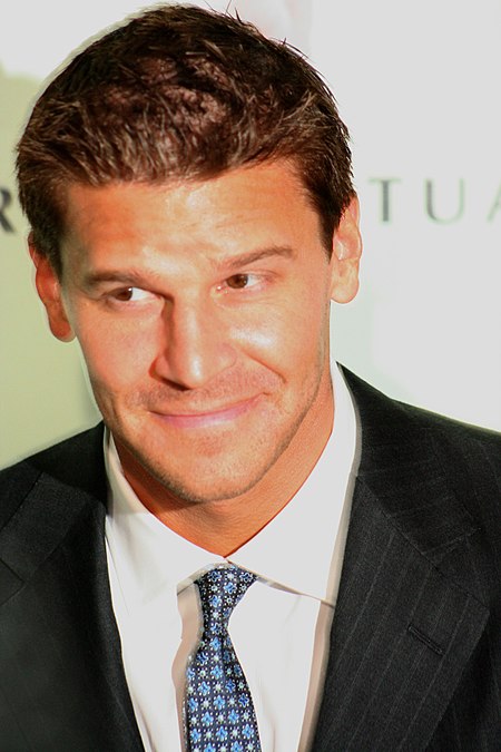 David Boreanaz May 2006 suit and tie 2.jpg