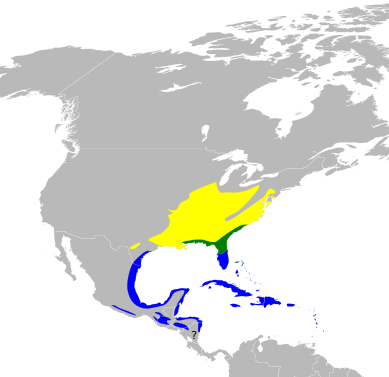 File:Dendroica dominica map.svg