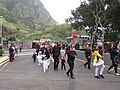 Desfile de Carnaval em São Vicente, Madeira - 2020-02-23 - IMG 5346