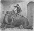 Die Gartenlaube (1866) b 021.jpg Elephantentoilette. Nach der Natur gezeichnet von H. Leutemann.