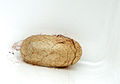 5/8 English: A picture of a Diprion pini cocoon. Français : Une photographie d'un cocon de Diprion pini.