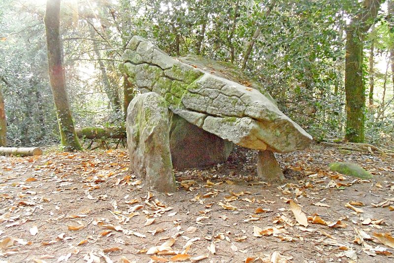 File:Dolmen de Ménez-Liavenen Pluguffan.JPG