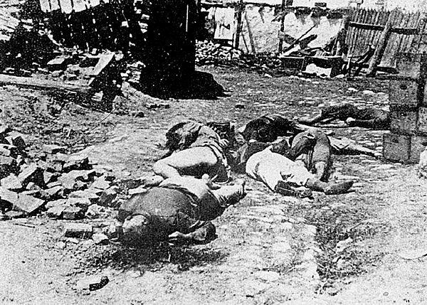 Aftermath of the 1941 Odessa massacre, in which Jewish deportees were killed outside Brizula (now Podilsk) during the Holocaust