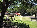 Bert Wright Park viewed from King William Street.