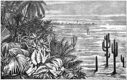 Early Man in Britain and His Place in the Tertiary Period - Fig. 4.—Mid Eocene Forest of Bournemouth, overlooking Lagoon.png