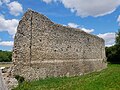 External wall around the medieval Eynsford Castle in Eynsford. [3]