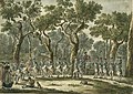 Een oefening van tamboers en pijpers op de Oude Mannenberg in het Haagse Bos (1769, Paulus Constantijn la Fargue)