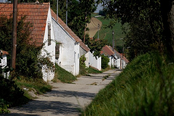 Mai Kellergasse Pfandnerweg in Eibesthal Wolfgang Glock