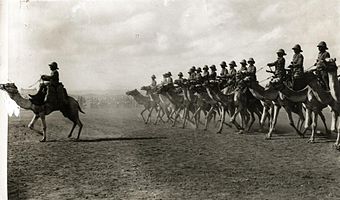 British camel troopers in British Somaliland.