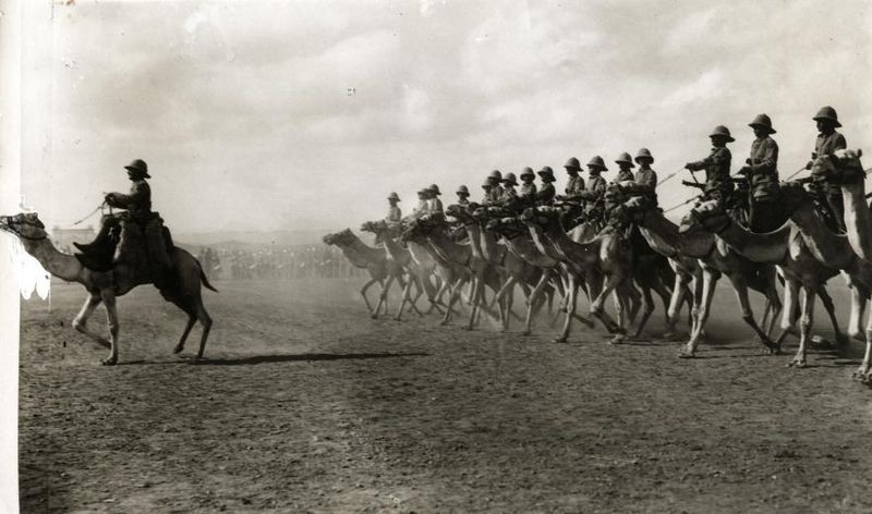 File:Engelse kameelruiters - English camel troopers.jpg
