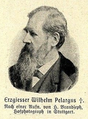 Wilhelm Pelargus. Portrait von Hermann Brandseph