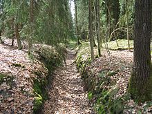 Das trockene Flussbett kurz oberhalb von Cordshagen im April 2010