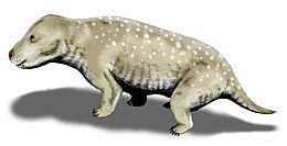 Exaeretodon frenguellii