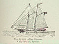 FMIB 44668 Amelia of New Bedford - a typical whaling schooner.jpeg